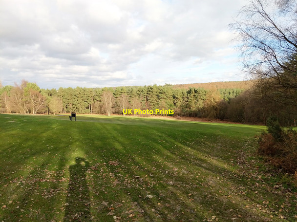 Photo 6"x4" Tilgate Forest golf course Crawley\/TQ2736 c2019