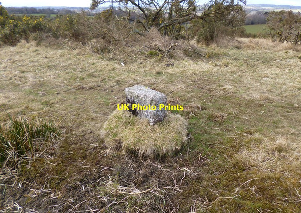 Photo 6"x4" Old Boundary Marker near Tavistock Golf Course, Whitchurch Tavistock c2013