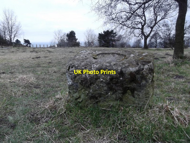 Photo 6"x4" Stone in the car park of Sutton Bank Visitors Centre Cold Kirby c2013