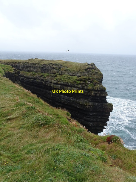 Photo 6"x4" Cliffs on Loop Head Kilbaha c2018