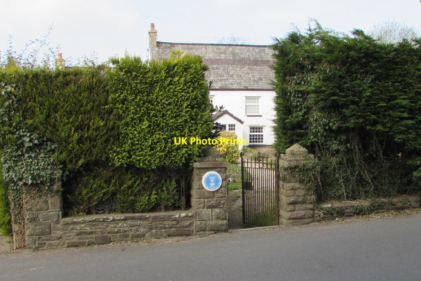 Photo 6"x4" Hedge-lined perimeter of an Aberfawr Road house, Abertridwr Abertridwr\/ST1289 c2019