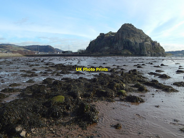 Photo 6"x4" Remains of a timber pond Dumbarton c2019