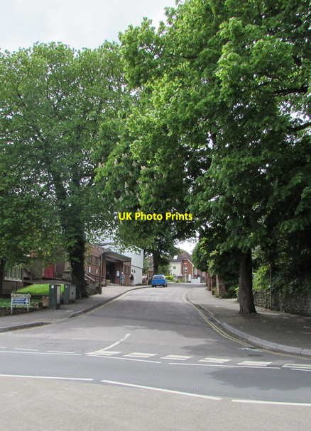 Photo 6"x4" Tree-lined Manor Road, Sidmouth Sidmouth c2017