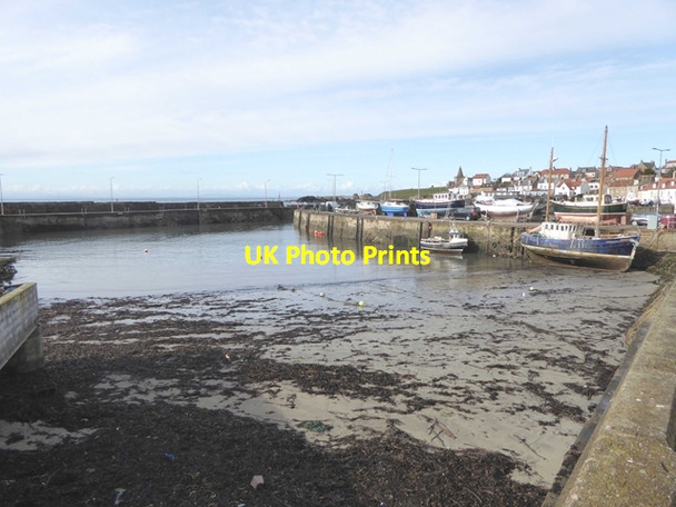 Photo 6"x4" St Monans Harbour Pittenweem c2019