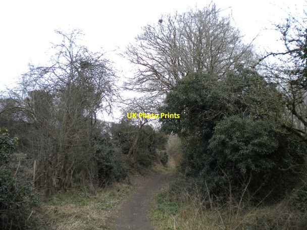 Photo 6"x4" Bridleway north of Wall Heath Himley c2019