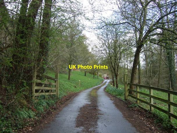 Photo 6"x4" Track (bridleway), March Hill Garway c2019