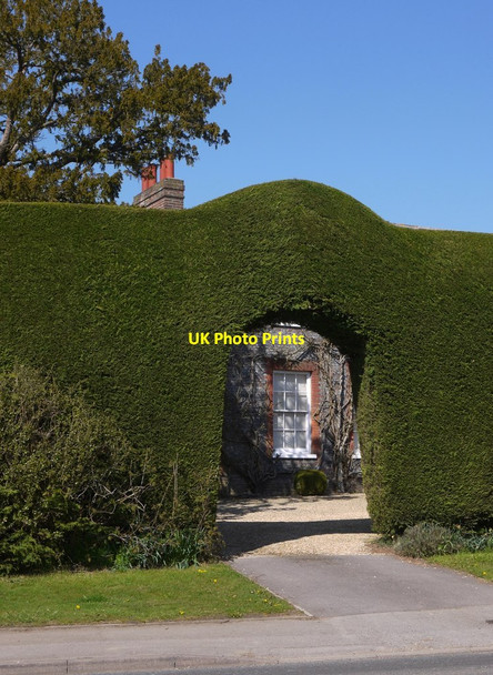 Photo 6"x4" Nettlebed High Street: topiary arch Nettlebed c2019