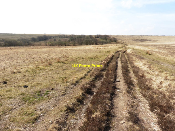Photo 6"x4" Byway to Willingford North Batsom c2019