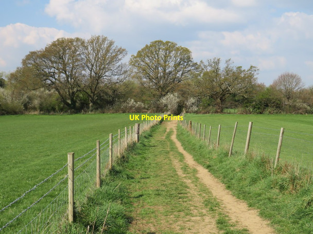 Photo 6"x4" Public footpath near Ditchling Keymer c2019