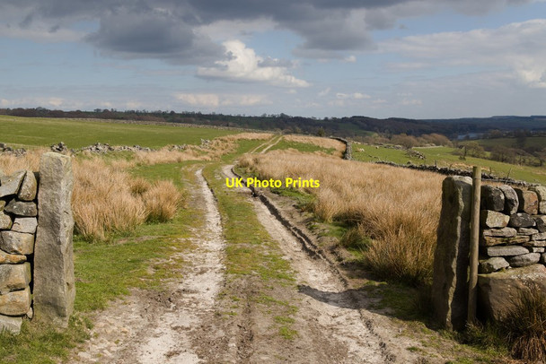 Photo 6"x4" Bridleway on the Old Kex Gill Road Blubberhouses c2019