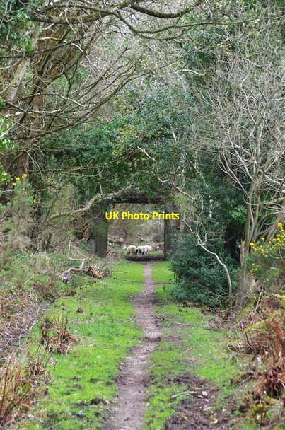 Photo 6"x4" Bridge Over the Foxdale Railway Lower Foxdale c2019