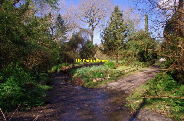 Photo 6"x4" Ford at Barrane Ballelby c2019