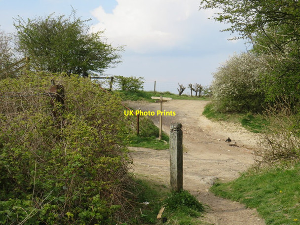 Photo 6"x4" Bridleway on the South Downs, near Pyecombe Pyecombe c2019