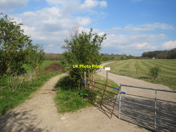 Photo 6"x4" Footpath near Clayton Bedlam Street c2019