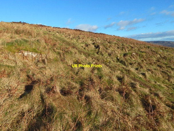 Photo 6"x4" Carman Hill-fort: path crossing line of outer enclosure Alexandria c2019