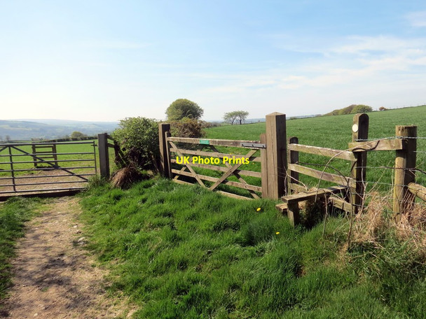 Photo 6"x4" Llwybr ceffyl ger Bryngwyn \/ A bridleway near Bryngwyn Lampeter\/Llanbedr Pont Stefan c2019