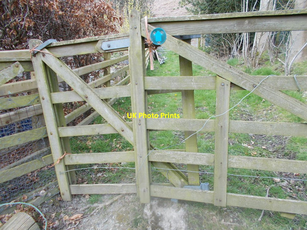 Photo 6"x4" Bridleway at Cesail Gwm Glyndyfrdwy c2019