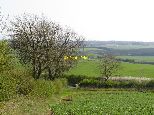 Photo 6"x4" View near Fishburn Trimdon c2019