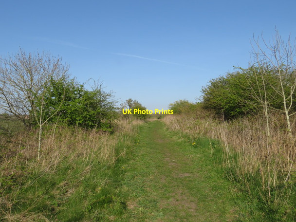 Photo 6"x4" Former railway, Trimdon Grange Trimdon Grange c2019