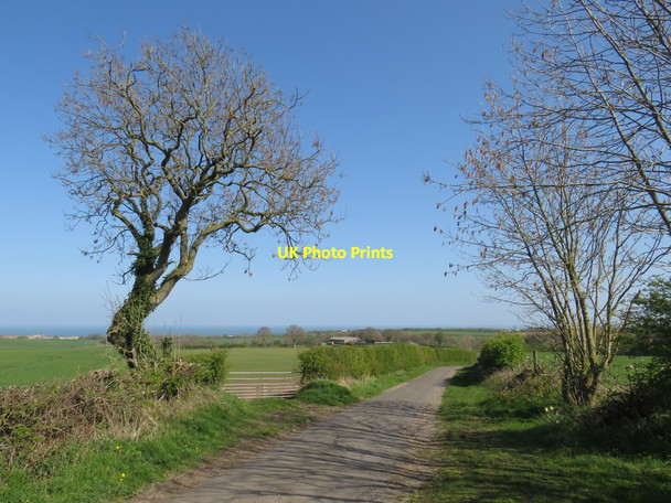 Photo 6"x4" Country lane near Ryhope Seaham c2019