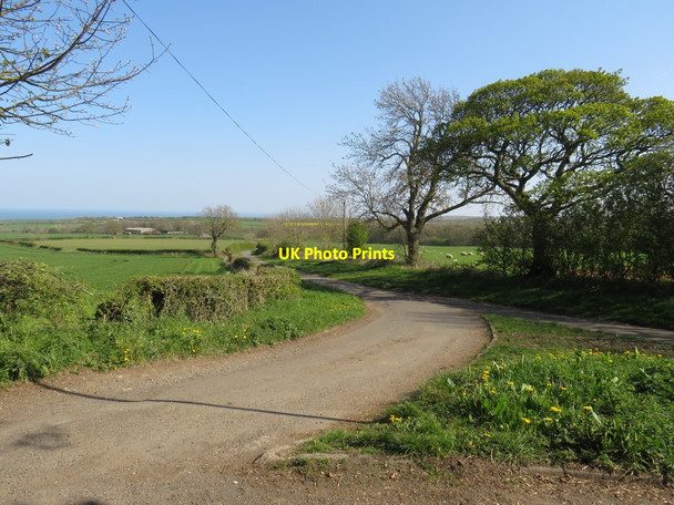 Photo 6"x4" Country lane near Ryhope Burdon c2019