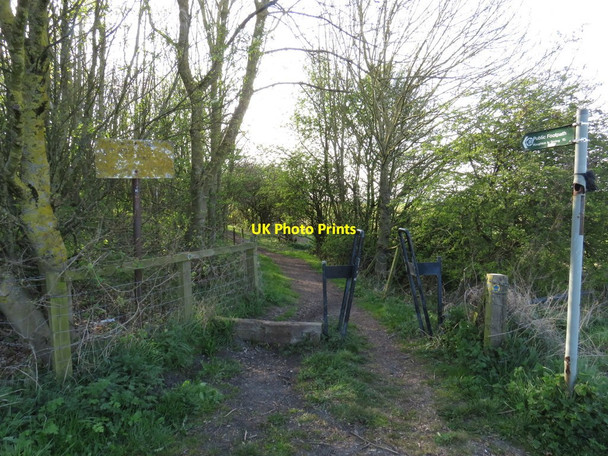 Photo 6"x4" Public footpath near Houghton-le-Spring Old Burdon c2019
