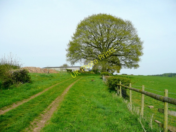 Photo 6"x4" Track and footpath west of Lawns Farm 2 Ross-on-Wye c2009