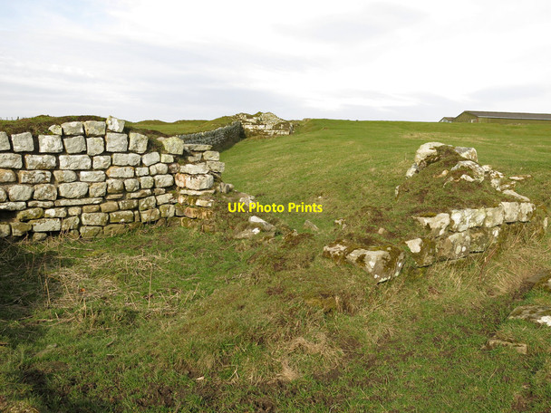 Photo 6"x4" Aesica (Great Chesters fort) - southwest tower, west wall and gate Haltwhistle c2019