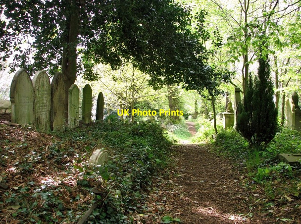 Photo 6"x4" A path on the lower terraces Norwich c2019