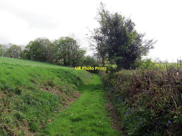 Photo 6"x4" Llwybr ceffyl ger Plas Llwyd \/ Bridleway near Plas Llwyd Capel Dewi\/SN4542 c2019
