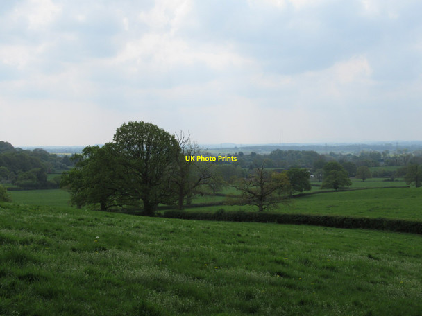 Photo 6"x4" Fields next to Chaddesley Wood Bournes Green\/SO9174 c2019