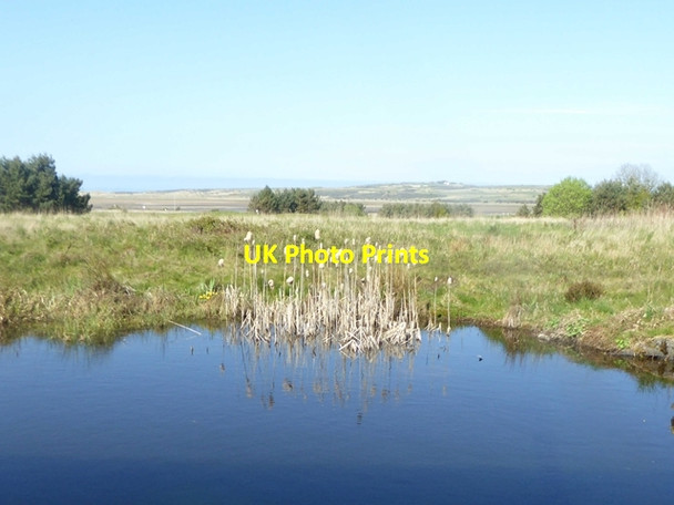 Photo 6"x4" Wildlife pond at Waterston House Craigielaw c2019