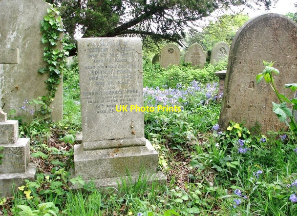 Photo 6"x4" The Pond Family grave Norwich c2019