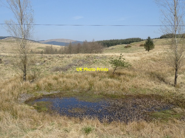 Photo 6"x4" Pond beside the B729 Blackmark\/NX6591 c2019