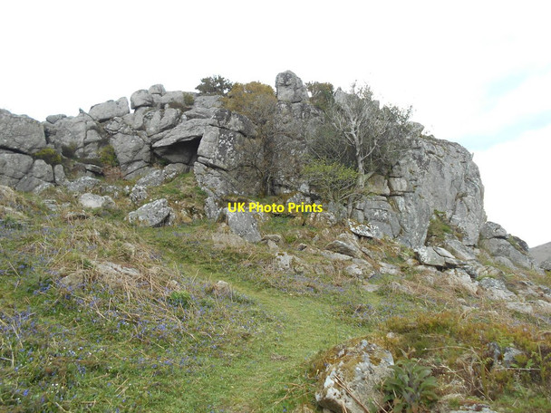 Photo 6"x4" A tree, a cave and a tor Bonehill\/SX7277 c2019