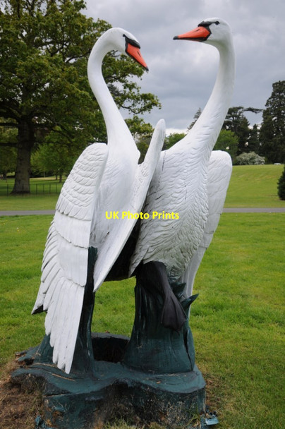 Photo 6"x4" Swans tree sculpture Highnam c2019