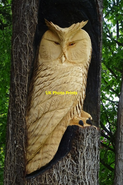 Photo 6"x4" Carved owl Highnam c2019