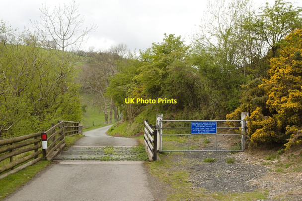 Photo 6"x4" Cattle grid and gate on Panorama Walk Pentrefelin\/SJ2043 c2019