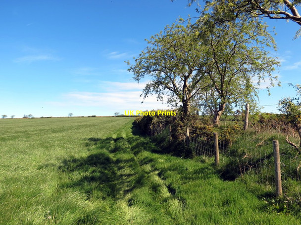 Photo 6"x4" Llwybr Ceffyl ger Pen-yr-allt \/ Bridleway above Pen-yr-allt Pont-si\u00e2n c2019