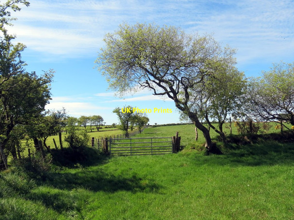 Photo 6"x4" Llwybr ceffyl  ger Ffarm Gwardafolog \/ Bridleway near Gwardafolog Farm Pont-si\u00e2n c2019