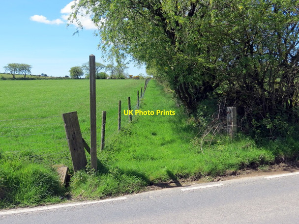 Photo 6"x4" Llwybr ceffyl yn gadael heol \/ A bridleway exiting a road Dolgerdd c2019