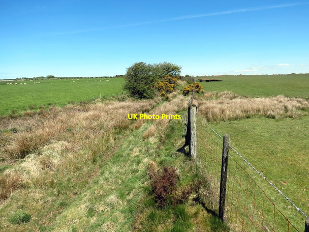 Photo 6"x4" Llwybr Bryngwyn \/ Bryngwyn Bridleway Pont-si\u00e2n c2019