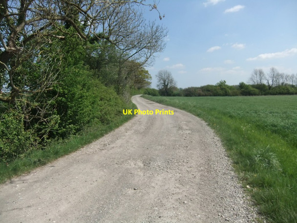 Photo 6"x4" Bridleway near Skerne Skerne c2019