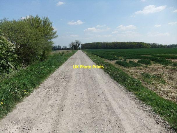 Photo 6"x4" Bridleway near Skerne Skerne c2019 P1
