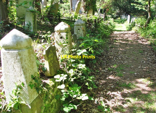 Photo 6"x4" A path on the  terraces Norwich c2019