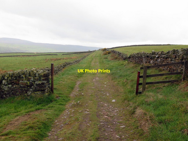 Photo 6"x4" Bridleway at Beacon Hill Ingleby Cross c2019