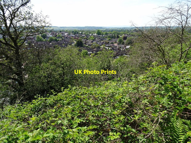 Photo 6"x4" Woodland View Ounsdale c2019