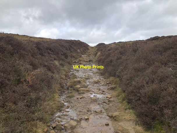 Photo 6"x4" Bridleway to Great Ayton Moor Hutton Village c2019