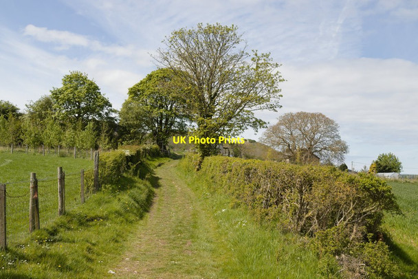 Photo 6"x4" Bridleway and Offa's Dyke path near Bryn Cnewyllyn Marian Cwm c2019