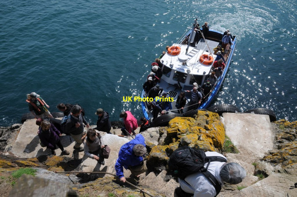 Photo 6"x4" Passenger disembarking the Dale Princess North Haven\/SM7309 c2019